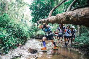 BIB: 
                            <button type="button" onclick="openModal(25374892)" class="btn btn-primary btn-sm float-right btn-popup" data-toggle="modal" data-target=".modal-high-quality">
                        <i class="fas fa-shopping-cart"></i> Add to Cart
                    </button>
                                            <button type="button" onclick="isThisMe(25374892, true)" class="btn btn-success btn-sm float-right btn-popup btn-isme hidden" data-toggle="tooltip" data-placement="bottom" title="นี่คือรูปของคุณใช่ไหม คลิกที่นี่เพื่อเอาเข้าอัลบั้ม">
                        <i class="fas fa-plus"></i> Add to album
                    </button>
                    <button type="button" onclick="isThisMe(25374892, false)" class="btn btn-warning btn-sm float-right btn-popup btn-isnotme hidden">
                        <i class="fas fa-ban"></i> Remove from album
                    </button>